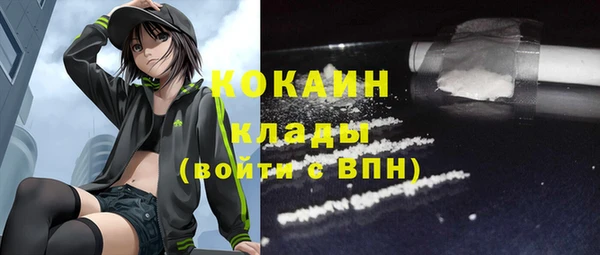 винт Тында