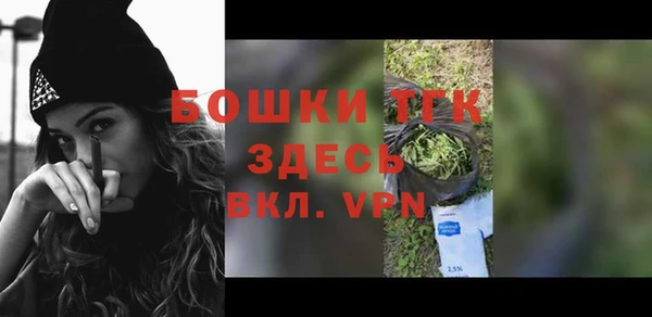СК Туринск