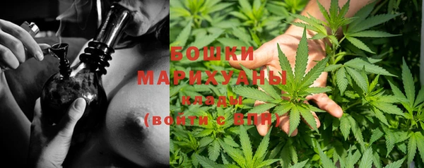 PSILOCYBIN Вязьма