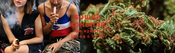PSILOCYBIN Вязьма